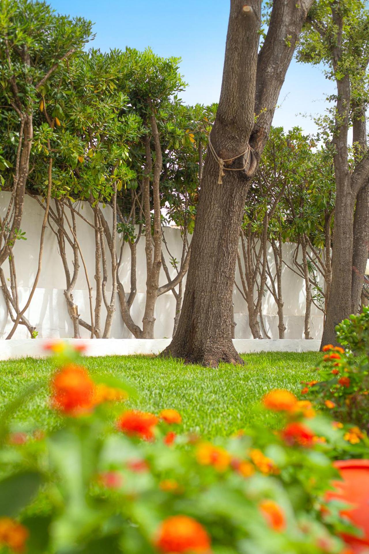 Casa Masini San Teodoro Apartment Monte Petrosu Luaran gambar